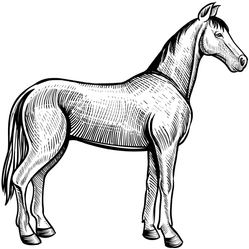 Cheval
